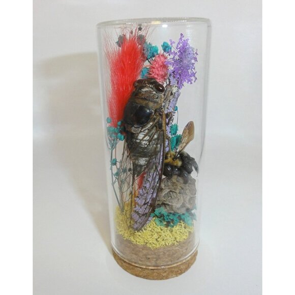 Cicada Wasp Nest & Carpenter Bee Oddity Jar curiosity dome insect taxidermy goth - Picture 13 of 15